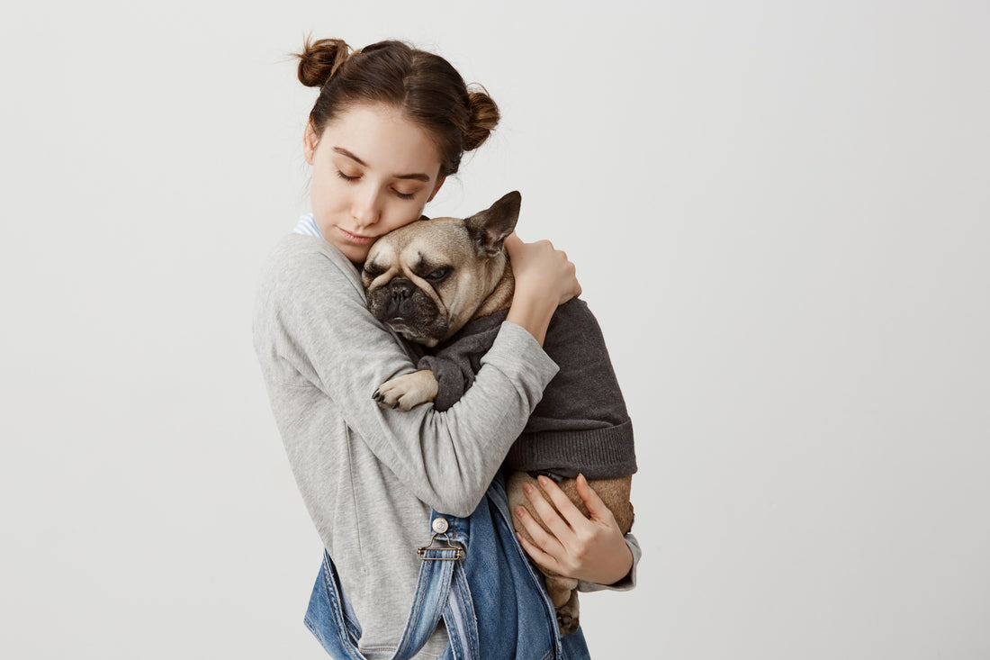 Dog Hoodies