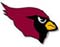 NFL Arizona Cardinals