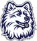 NCAA Connecticut Huskies