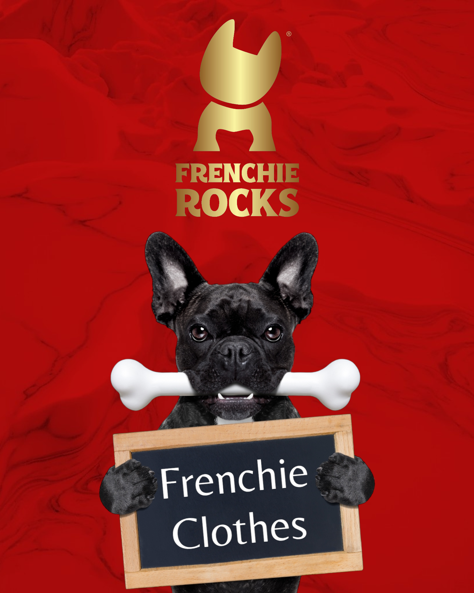 Frenchie Clothes Collection