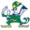 NCAA Notre Dame Fighting Irish