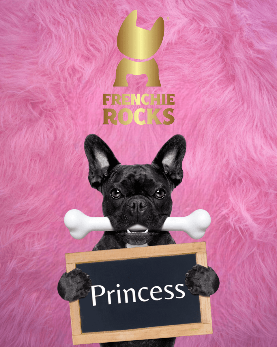 Princess – Frenchie Rocks