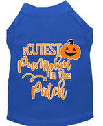 Cutest Pumpkin in the Patch Screen Print Dog Shirt