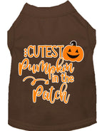 Cutest Pumpkin in the Patch Screen Print Dog Shirt