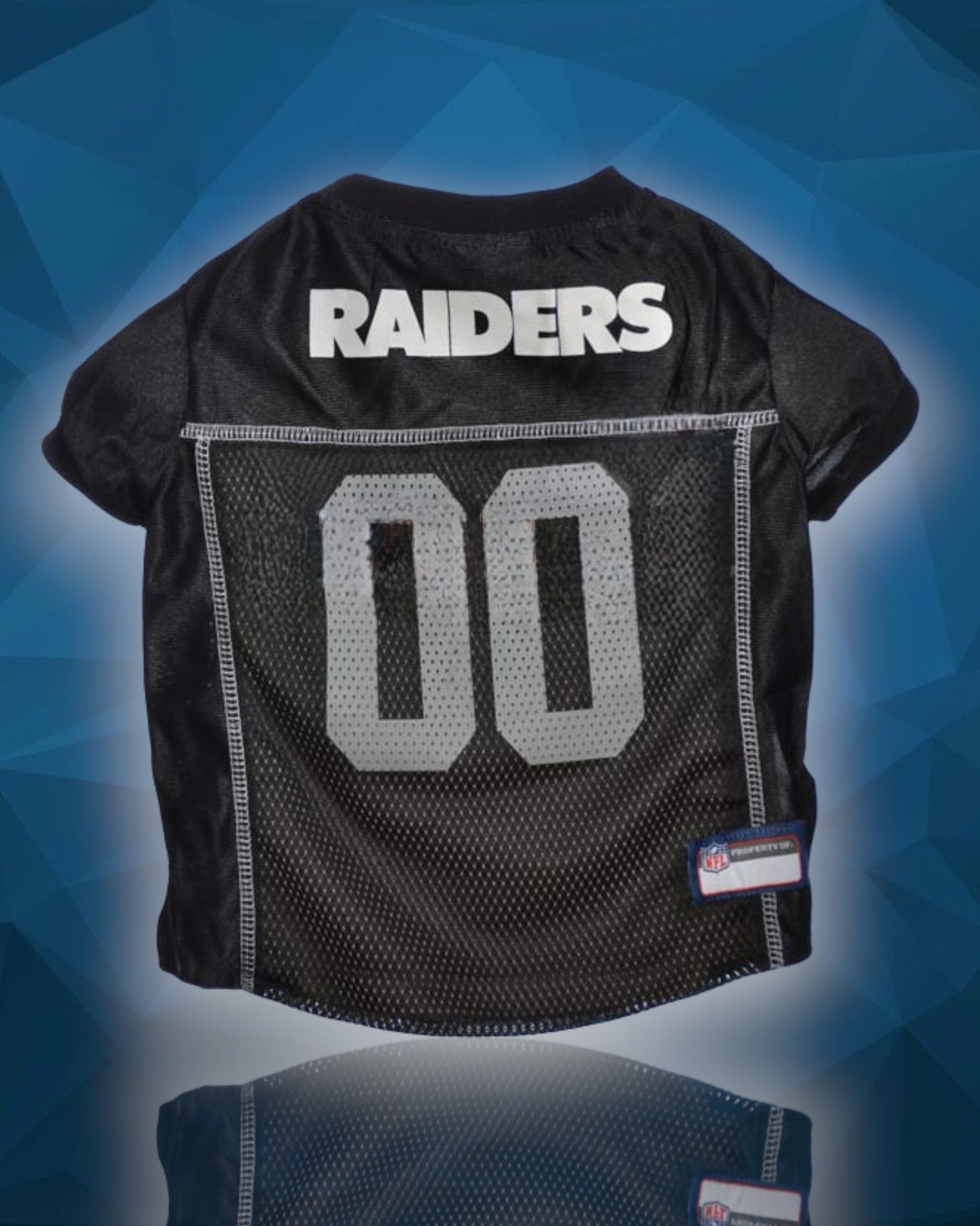 Las Vegas Raiders NFL Dog Jersey