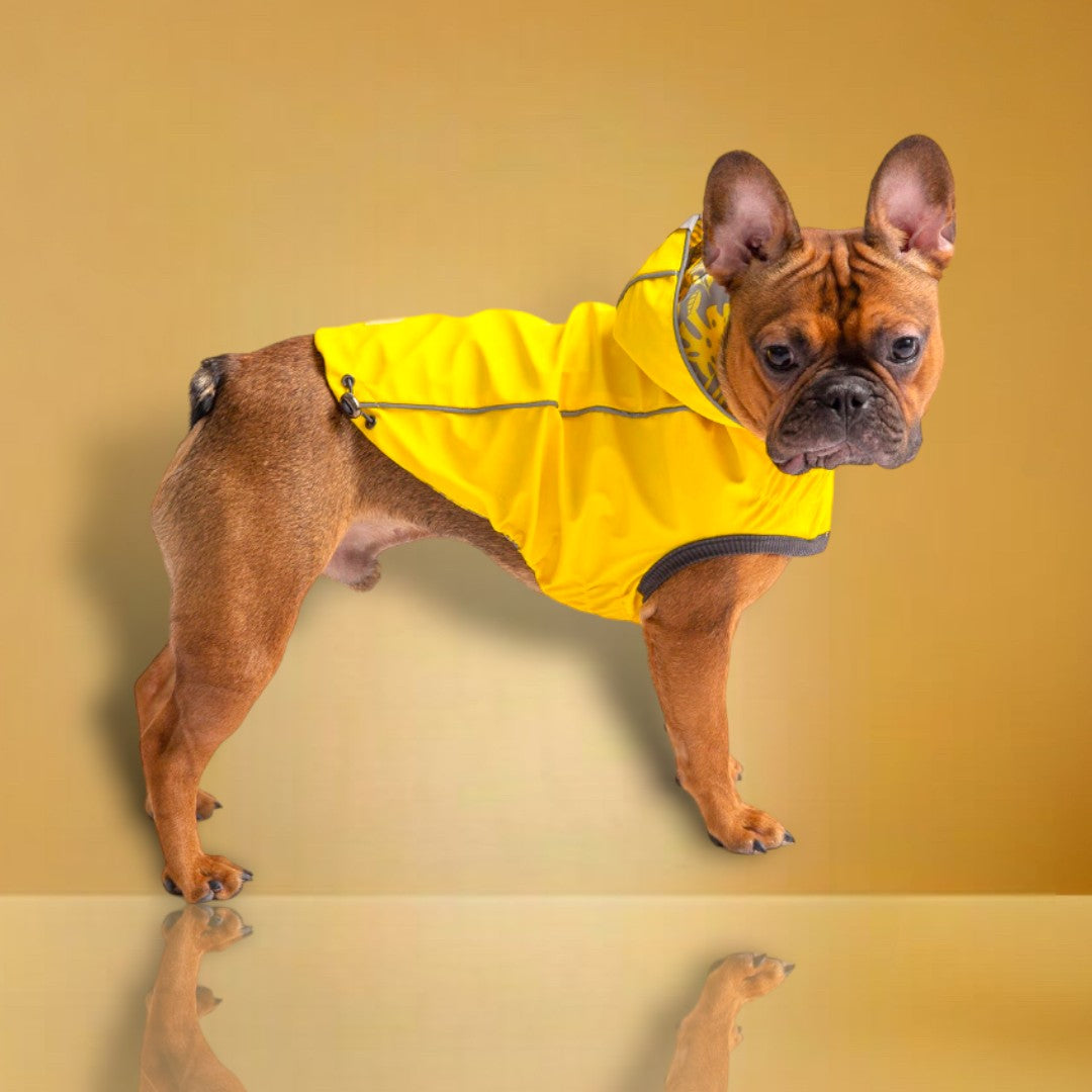 GF Pet Reversible ElastoFit Raincoat