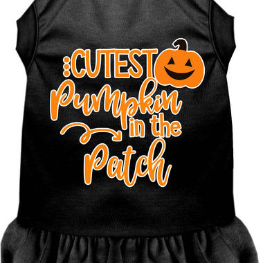 Cutest Pumpkin in the Patch Screen Print Dog Dress