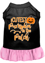 Cutest Pumpkin in the Patch Screen Print Dog Dress