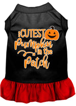 Cutest Pumpkin in the Patch Screen Print Dog Dress