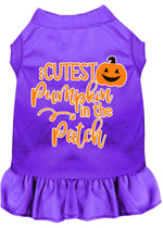 Cutest Pumpkin in the Patch Screen Print Dog Dress