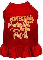 Cutest Pumpkin in the Patch Screen Print Dog Dress