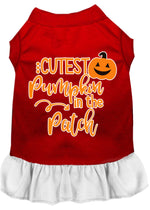 Cutest Pumpkin in the Patch Screen Print Dog Dress