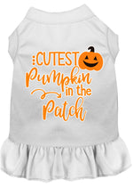 Cutest Pumpkin in the Patch Screen Print Dog Dress