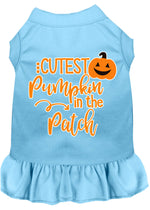 Cutest Pumpkin in the Patch Screen Print Dog Dress