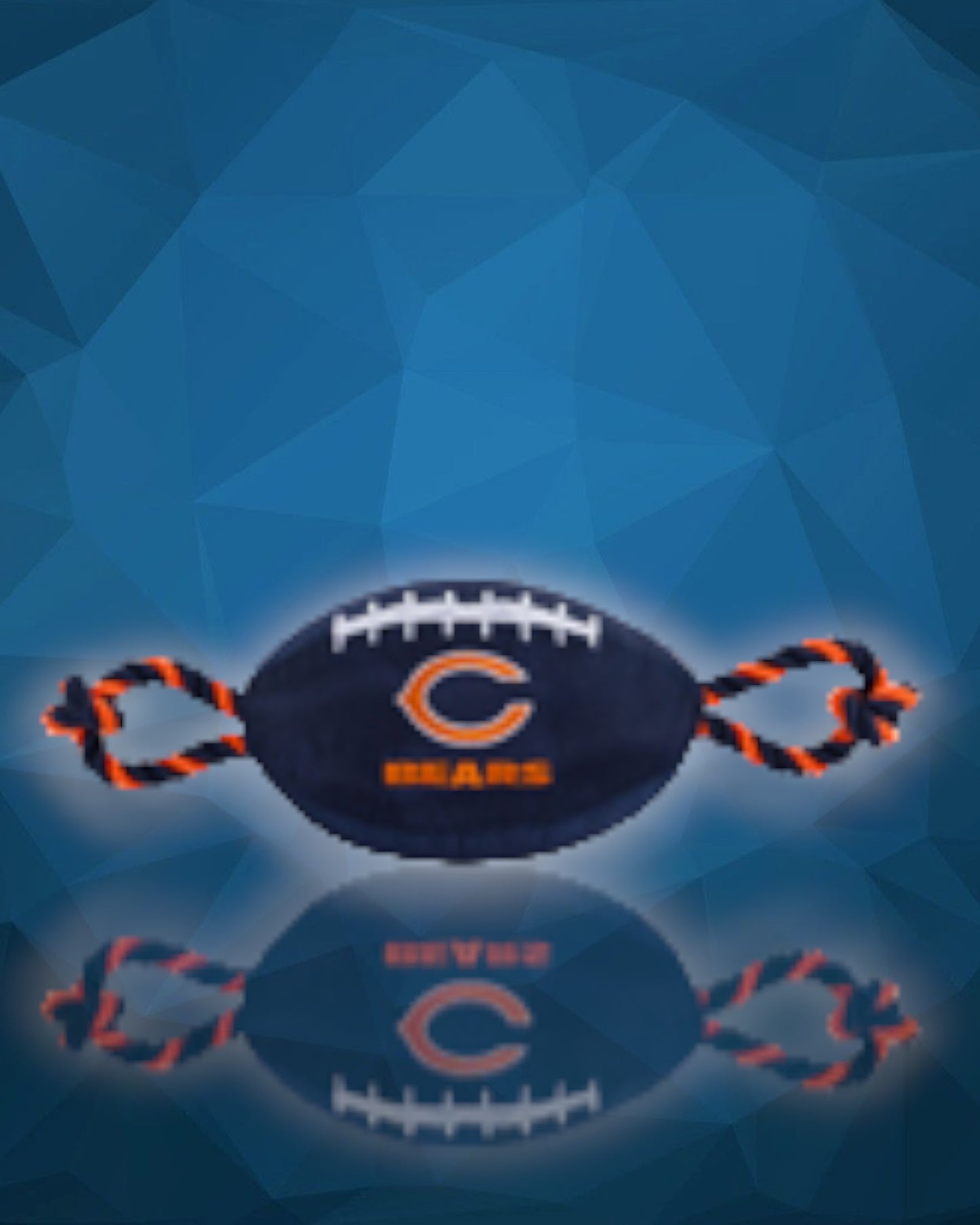 Chicago Bears NFL Dog Football Toy