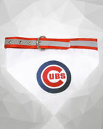 Chicago Cubs MLB Collar Dog Bandana