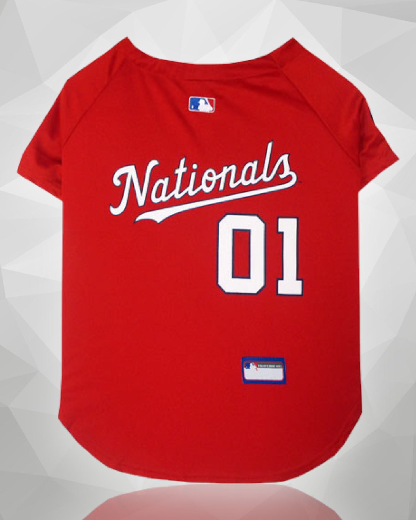 Washington Nationals MLB Dog Jersey