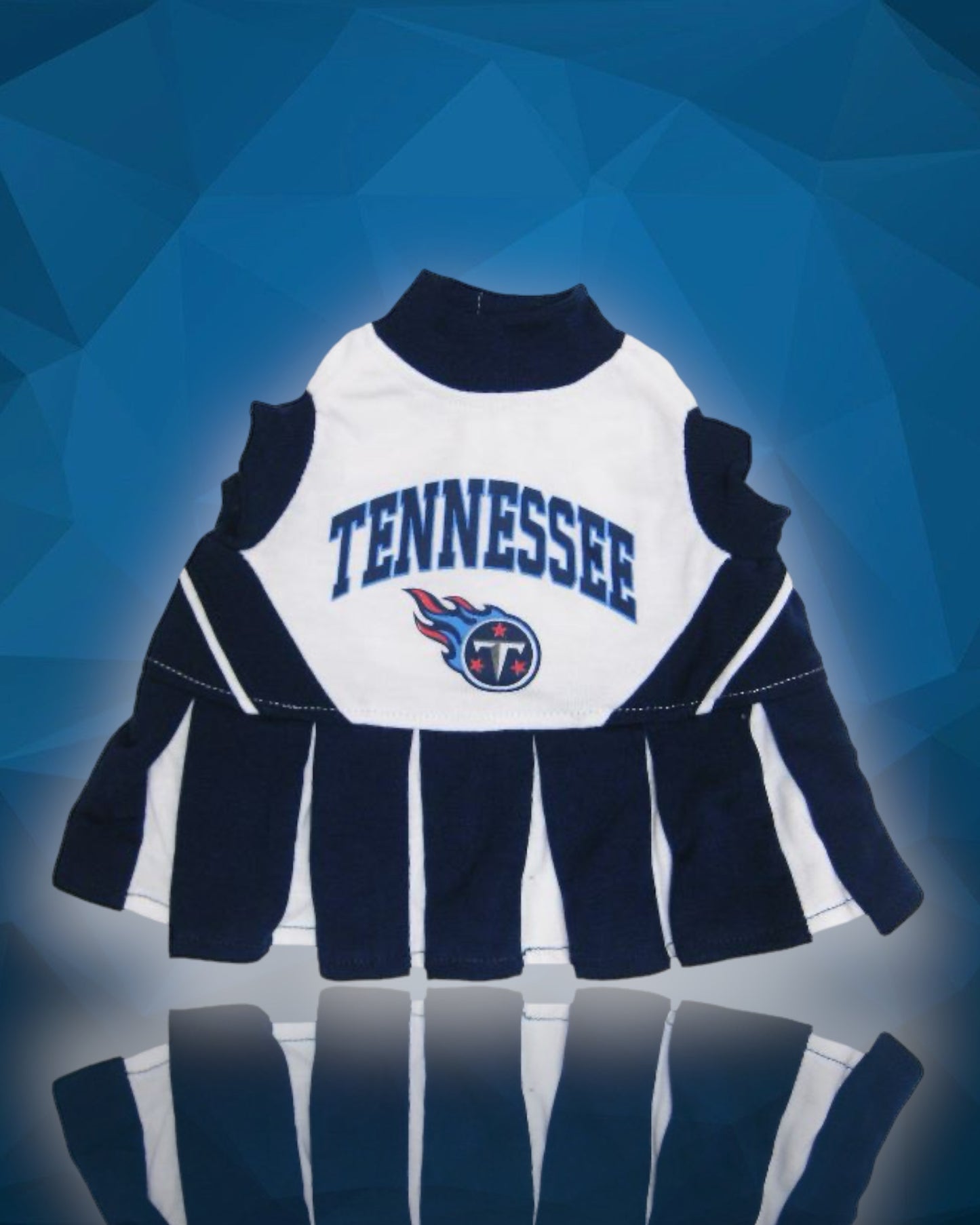 Tennessee Titans Cheerleader Dog Dress