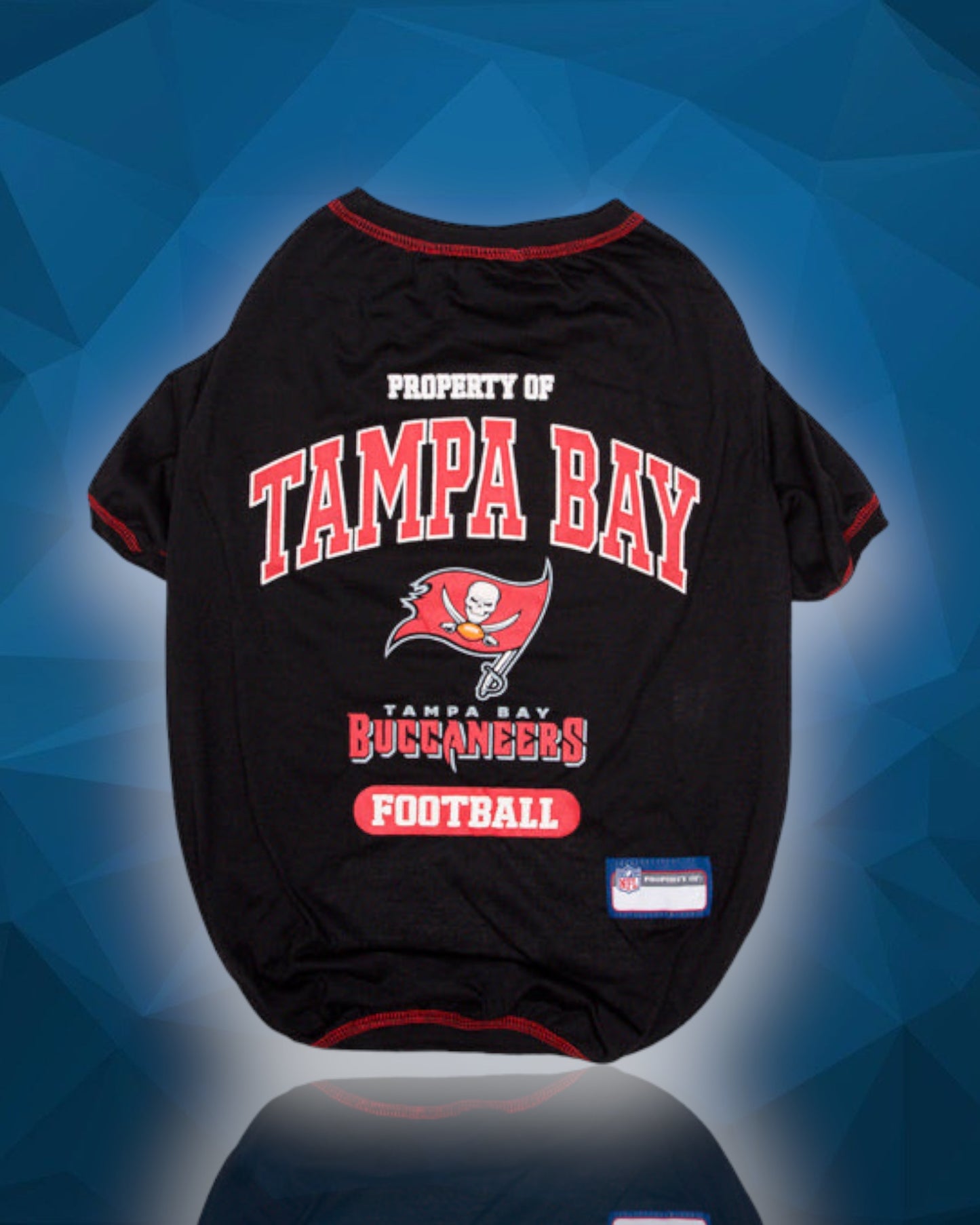 Tampa Bay Buccaneers NFL Dog Tee Shirt