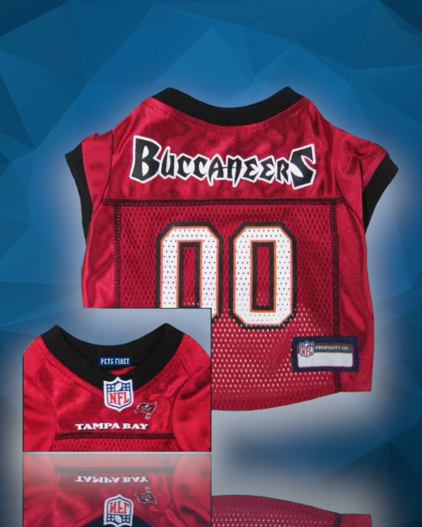 Tampa Bay Buccaneers NFL Dog Jersey