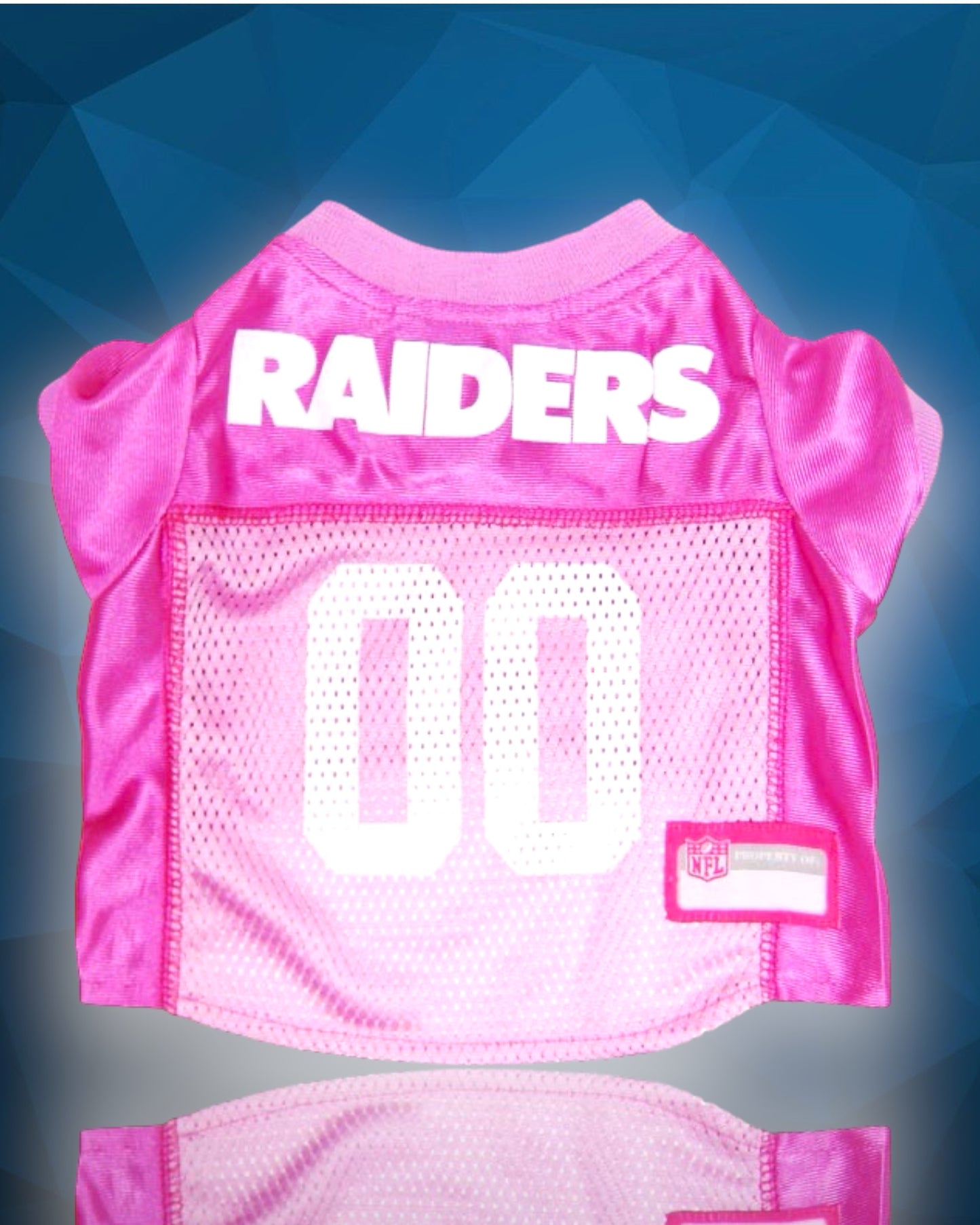 Las Vegas Raiders PINK Dog Jersey