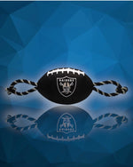 Las Vegas Raiders NFL Dog Football Toy