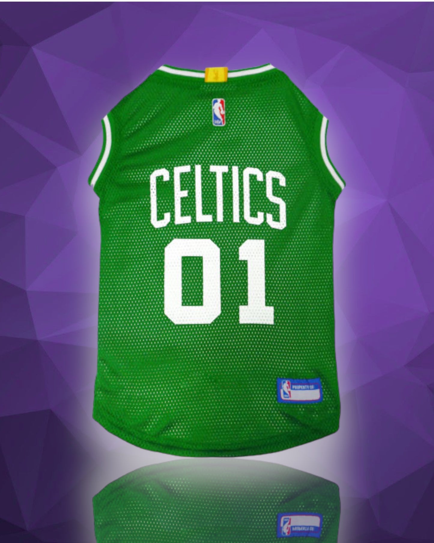 Boston Celtics NBA Dog Jersey