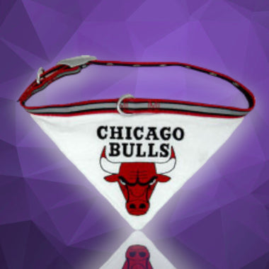 Chicago Bulls NBA Dog Collar Bandana