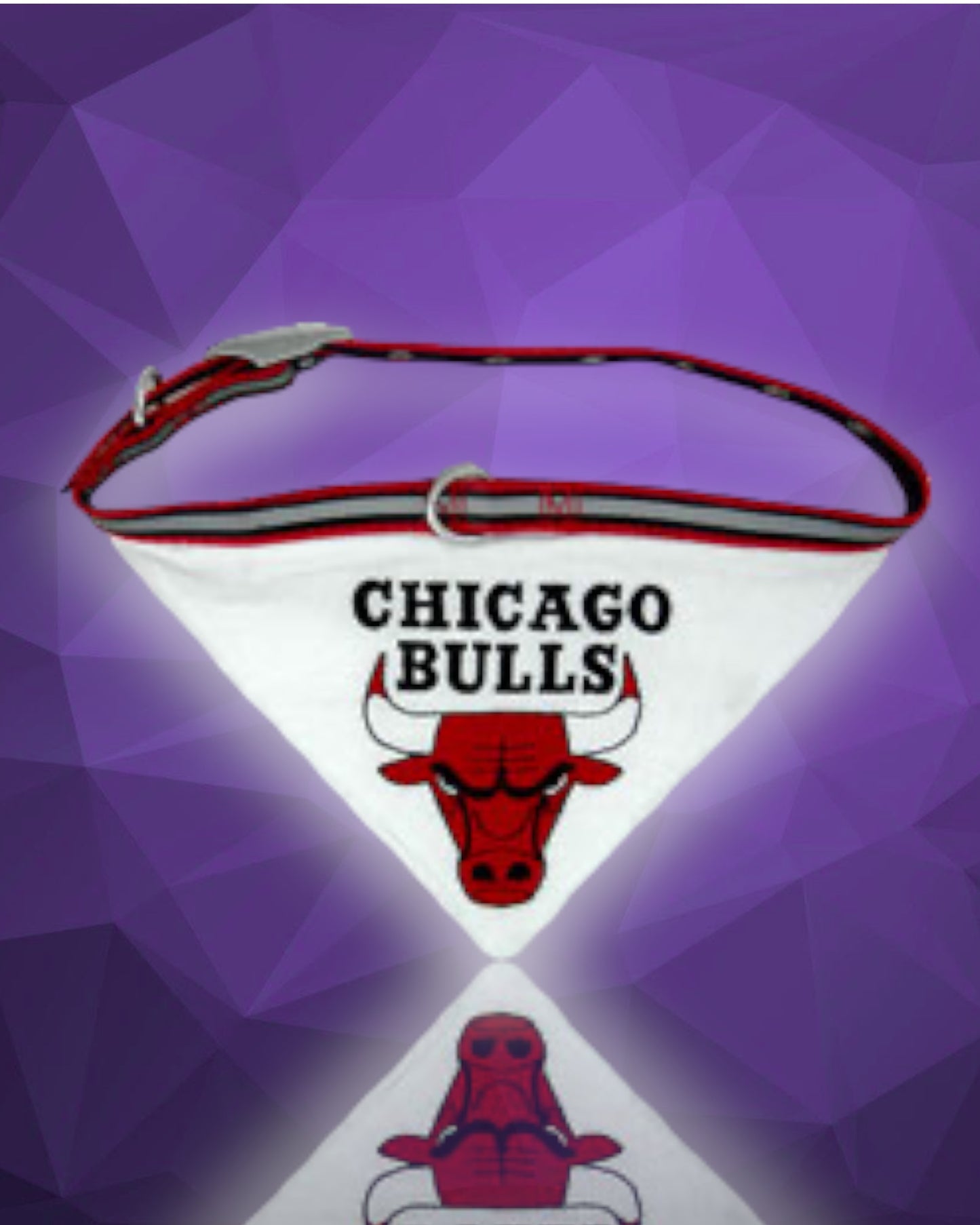 Chicago Bulls NBA Dog Collar Bandana