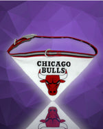 Chicago Bulls NBA Dog Collar Bandana