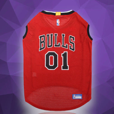 Chicago Bulls NBA Dog Home Jersey