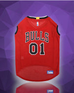 Chicago Bulls NBA Dog Home Jersey