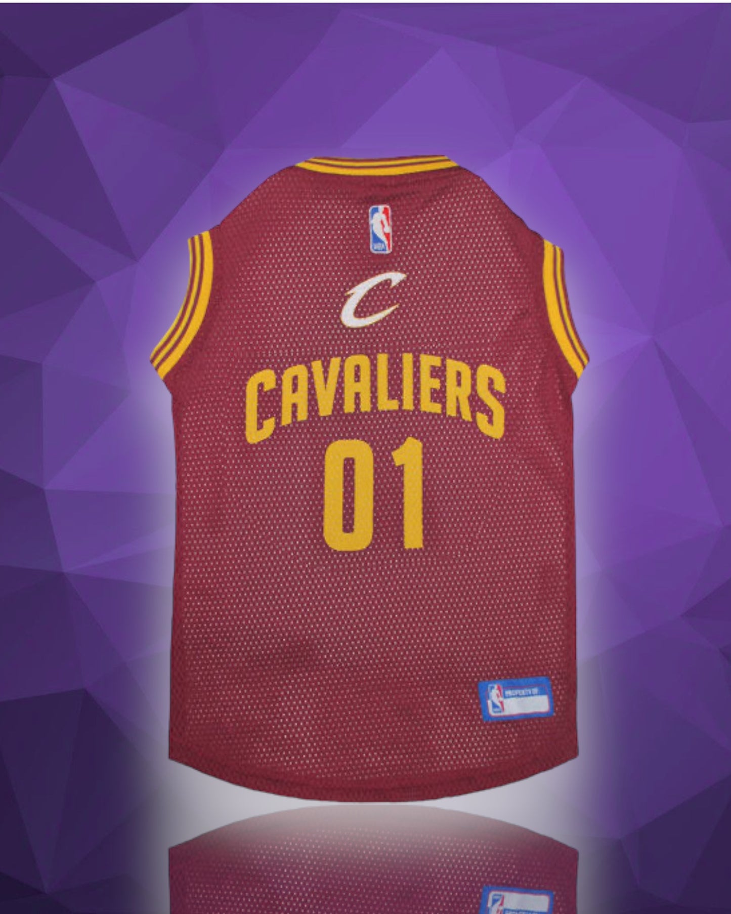 Cleveland Cavaliers NBA Dog Jersey