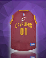 Cleveland Cavaliers NBA Dog Jersey