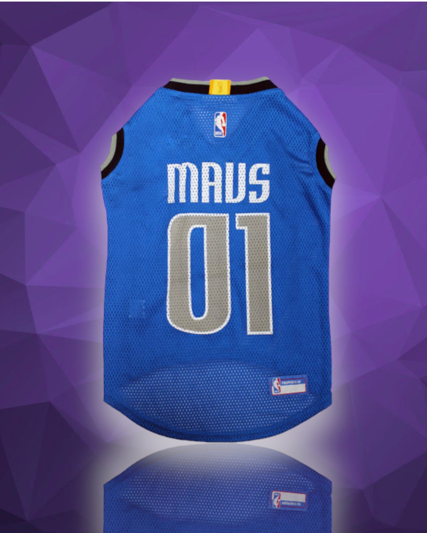 Dallas Mavericks NBA Blue Mesh Jersey