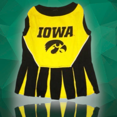 Iowa Hawkeyes Cheerleader Dog Dress