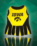 Iowa Hawkeyes Cheerleader Dog Dress