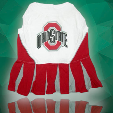 Ohio State Buckeyes Cheerleader Dog Dress