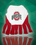 Ohio State Buckeyes Cheerleader Dog Dress