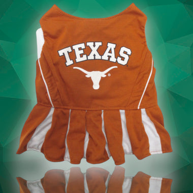 Texas Longhorns Cheerleader Dog Dress