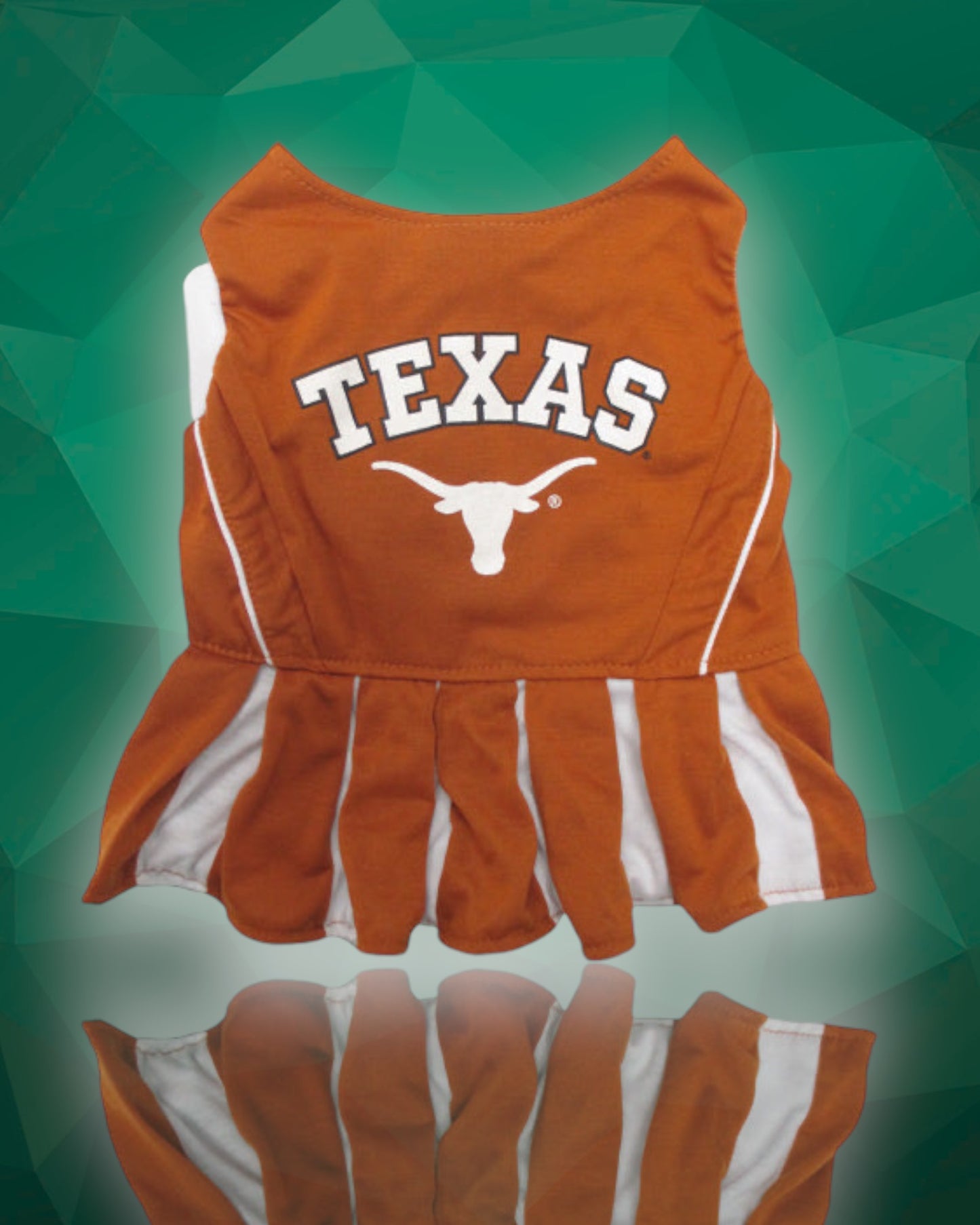 Texas Longhorns Cheerleader Dog Dress