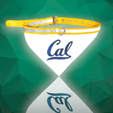 California Golden Bears NCAA Dog Collar Bandana