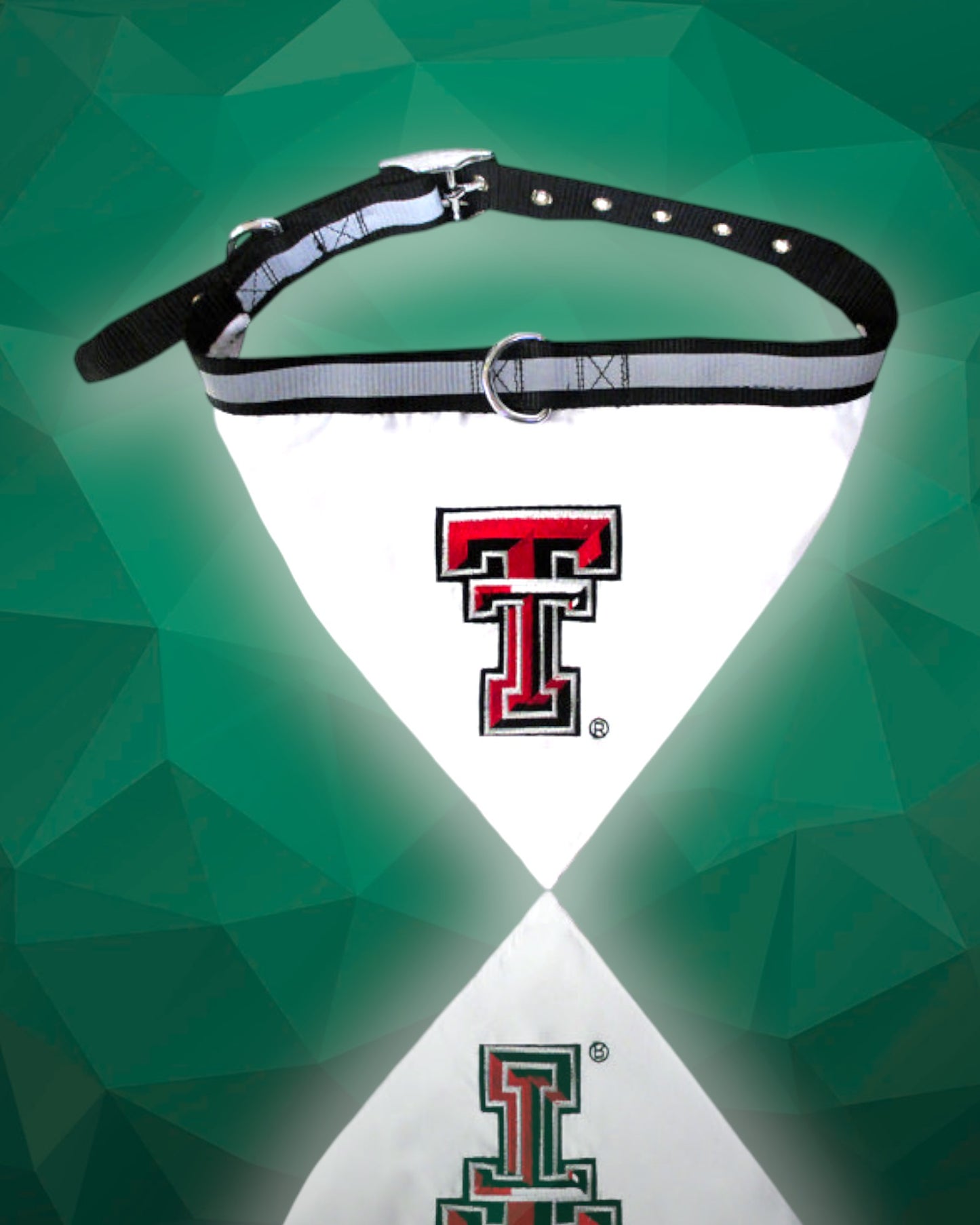 Texas Tech Red Raiders NCAA Dog Collar Bandana