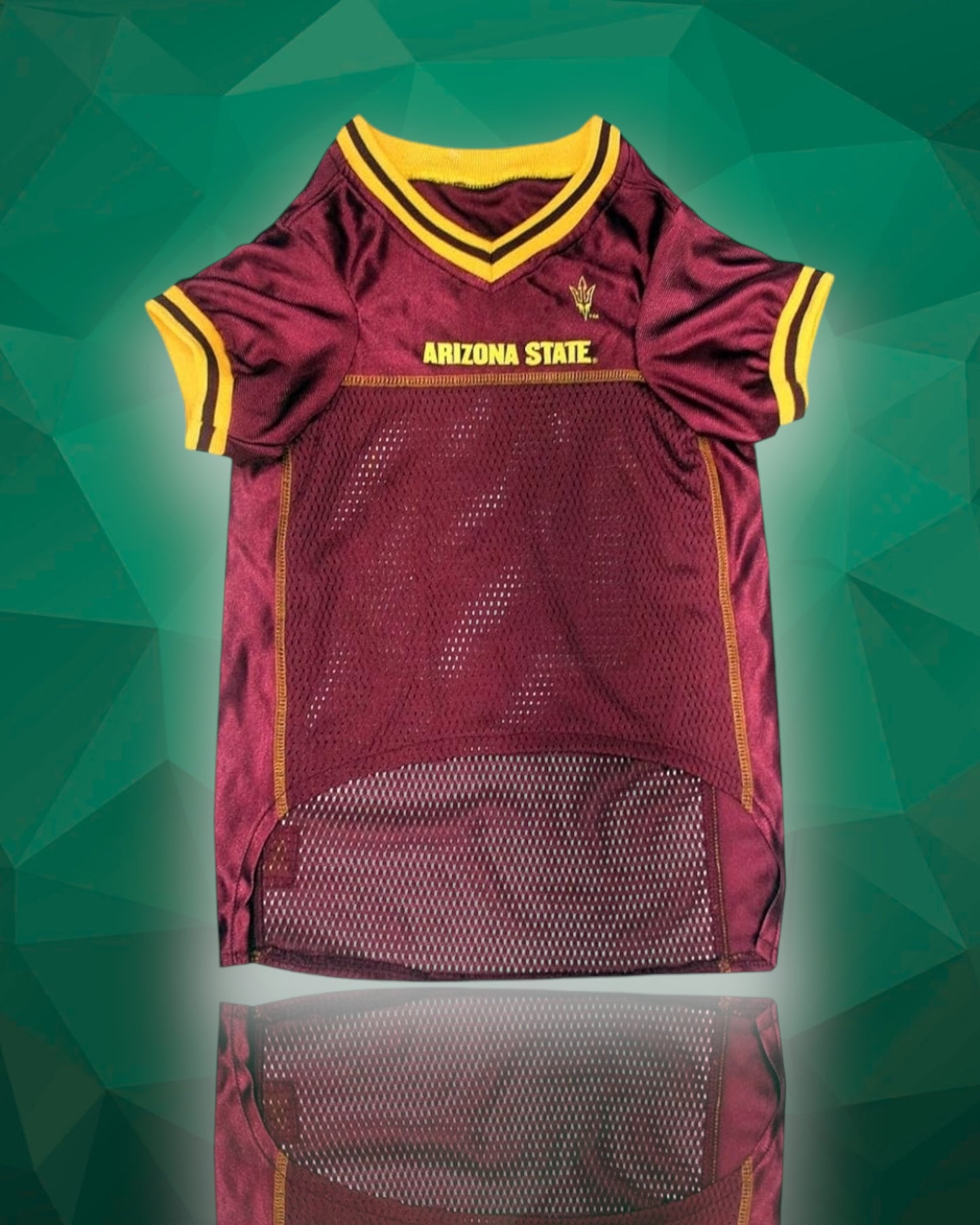 Arizona Sun Devils NCAA Dog Jersey