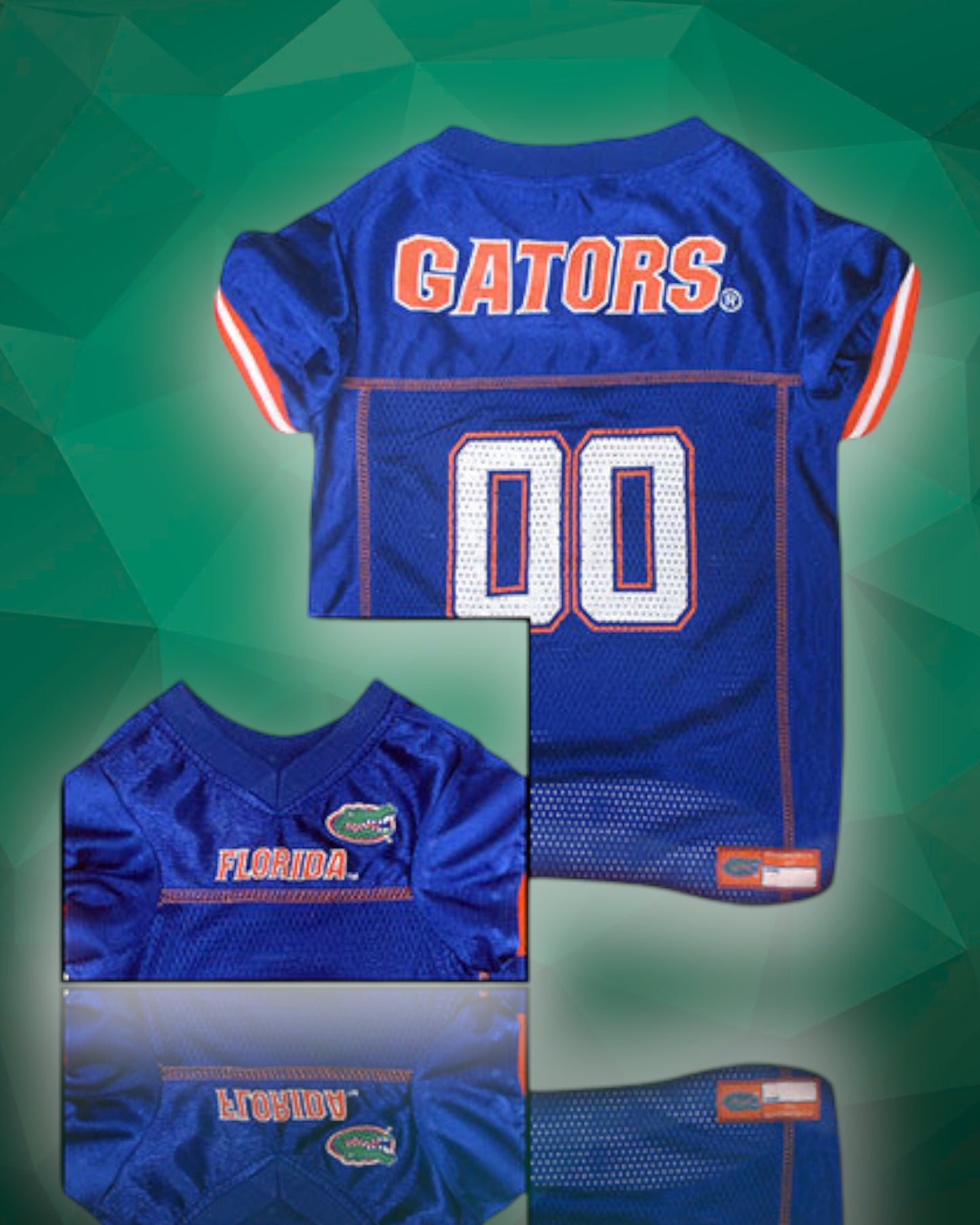 Florida Gators NCAA Dog Jersey