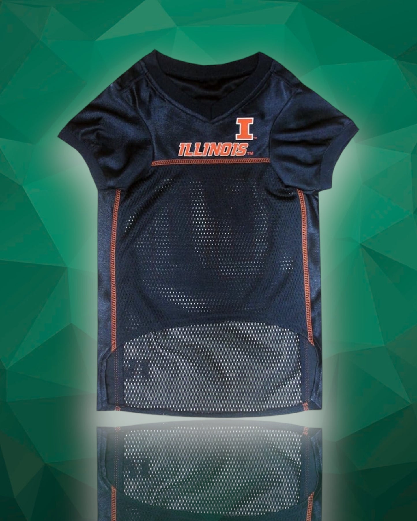 Illinois Fighting Illini NCAA Dog Jersey