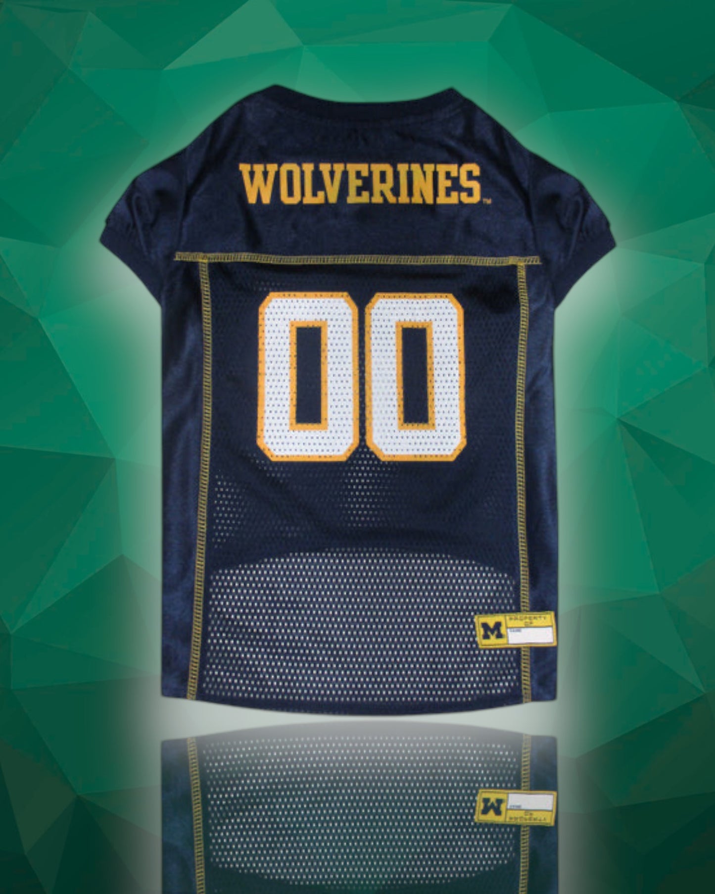 Michigan Wolverines Dog Jersey