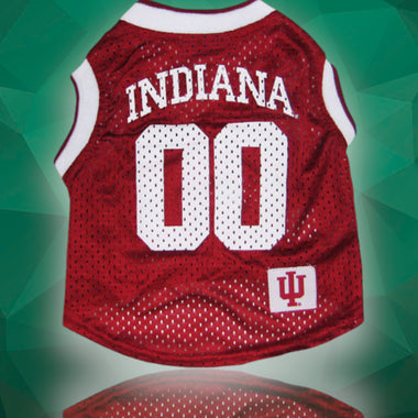 NCAA  Indiana Hoosiers dog jersey