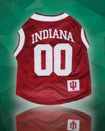 NCAA  Indiana Hoosiers dog jersey