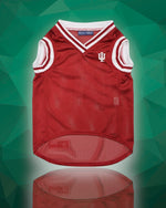 NCAA  Indiana Hoosiers dog jersey